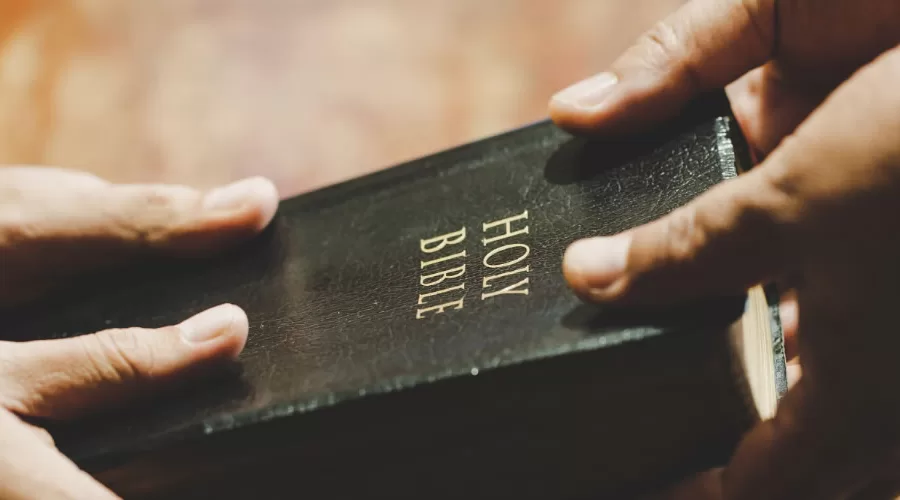 Our Plans set in His Divine Purpose