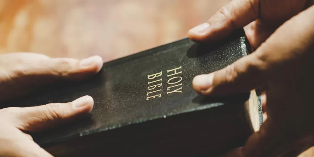 Our Plans set in His Divine Purpose